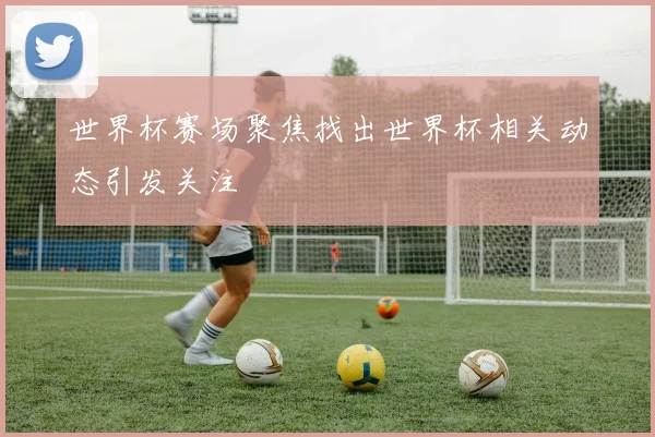 世界杯赛场聚焦找出世界杯相关动态引发关注