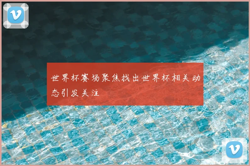 世界杯赛场聚焦找出世界杯相关动态引发关注