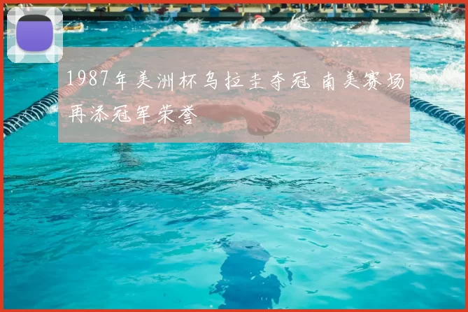 1987年美洲杯乌拉圭夺冠 南美赛场再添冠军荣誉