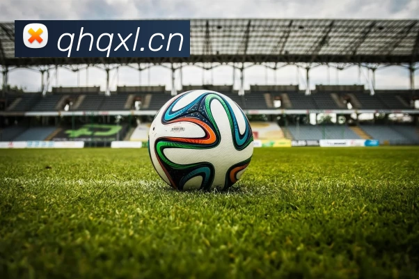 滚球官网app服务体系